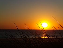 Ondergaande zon