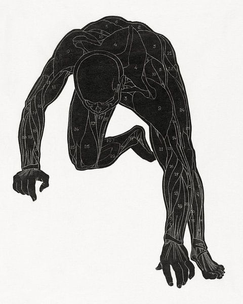 anatomie man met spieren, Reijer Stolk van Atelier Liesjes