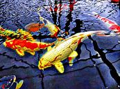 Koi Carp Huddle by Dorothy Berry-Lound thumbnail