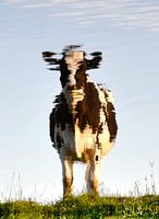 water cow