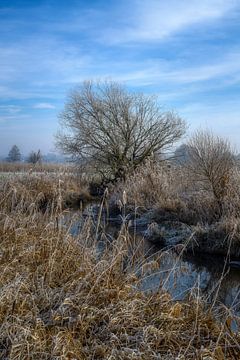 Idyllisch winterlandschap bij de rivier de Paar van ManfredFotos