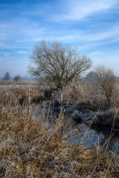 Paysage hivernal idyllique au bord de la rivière Paar par ManfredFotos