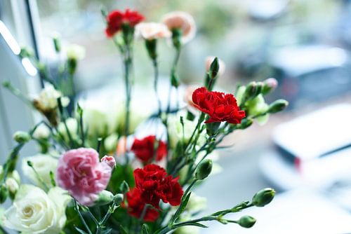 Rod carnations from a romantic bouquet
