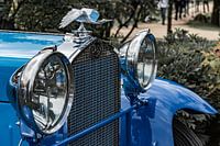 Delage radiator ornament