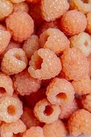 Autumn raspberries by Nina van der Kleij