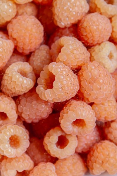 Herbst-Himbeeren von Nina van der Kleij