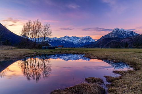 Mega sunrise at the biotope