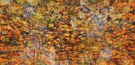 Herbst Kreativ. von Anita Verhaegh