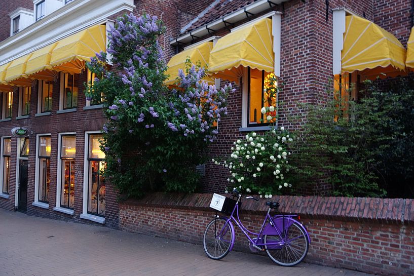 Zonneschermen op het Gedempte Zuiderdiep von Groningen Stad
