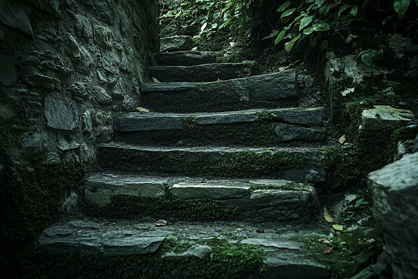 Oude trap bedekt met mos van Imperial Art House