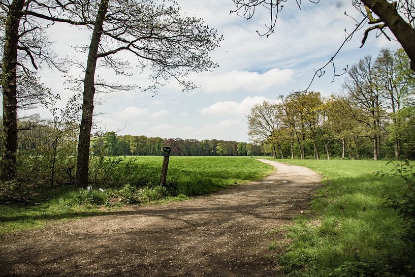 Weggetje in de Achterhoek by Klaas Leussink