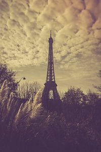 Parijs Eiffeltoren van Tonny Visser-Vink