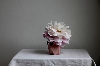 Stilleben mit blühender Pfingstrose auf rosa Vase