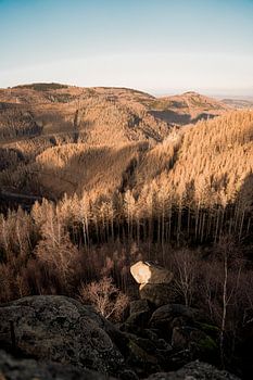 Die Sonne beleuchtet den Harz