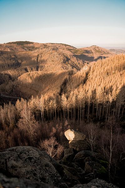 The sun lights up the Harz mountains by Laura Bosch