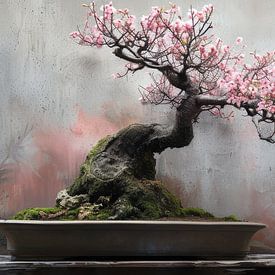 Bonsai panorama minimalist still life with pink blossom