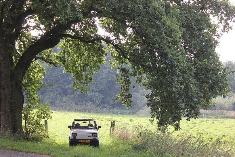 oude italiaanse fiat 126 oldtimer rustend onder een mooi eikenboom  van Joost Brauer