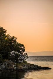 Gold-orangefarbener Schein beim Sonnenuntergang an der Küste in Trondheim, Norwegen von Koen Lipman