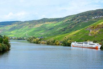 The Moselle in Bernkastel-Kues by Gisela Scheffbuch