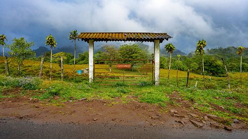Gateway to the jungle by Meijer Mijksenaar