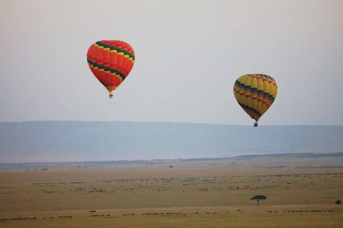 Ballonnen boven Masai Mara, Kenia
