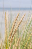 Strandgevoel op Terschelling