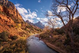 Zion - Virgin River by Martin Podt