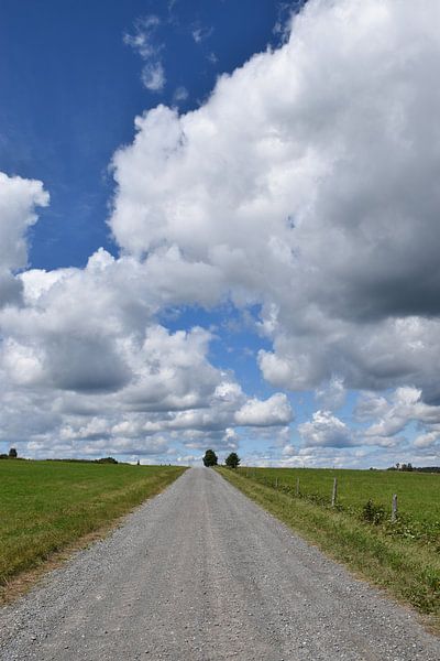 A country road in spring by Claude Laprise