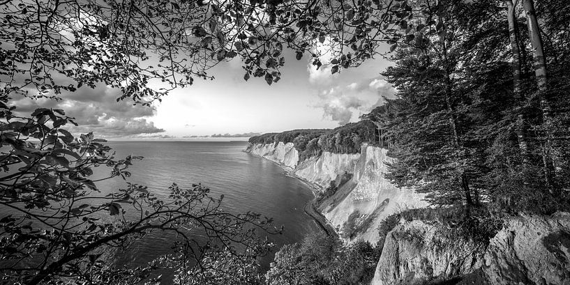 Kreidefelsen auf Rügen in schwarzweiss von Manfred Voss, Schwarz-weiss Fotografie