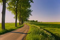 Paysage de Groningue près d'Appingedam, Groningue