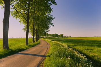 Gronings landschap nabij Appingedam, Groningen