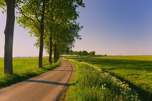 Gronings landschap nabij Appingedam, Groningen