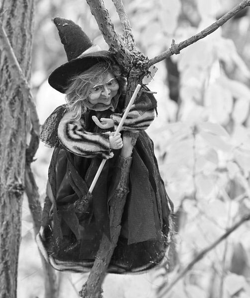 Hexe an einem Ast hängend in schwarz-weiß. von Jose Lok