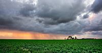 Ochtendzon Noordpolder
