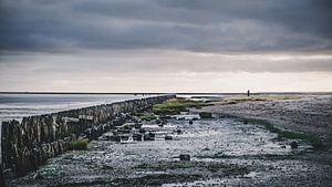 Wattenmeer - 3