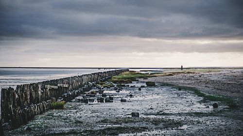 Wadden - 3