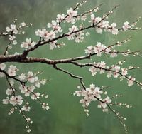 A full cherry blossom branch japandi style.