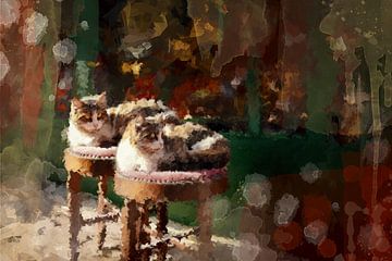 Zwei Katzen, die gemeinsam die Sonne genießen von Fenja Jon-Blaauw - Studio Foek