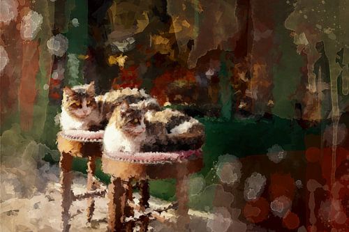 Zwei Katzen, die gemeinsam die Sonne genießen