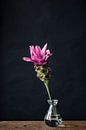 Foto print | roze bloem | botanisch | kleur | modern van Jenneke Boeijink thumbnail