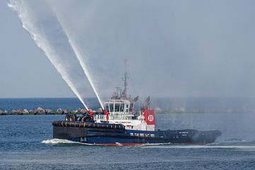 Sleepboot VB Cheetah brengt watersaluut aan Ever Alot. van Jaap van den Berg