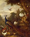 Paon, perroquets, canari et autres oiseaux dans un parc, Jakob Bogdány par Des maîtres magistraux Aperçu