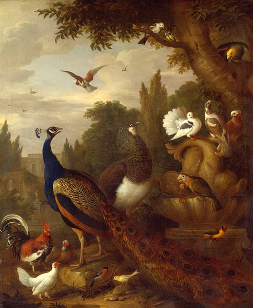 Paon, perroquets, canari et autres oiseaux dans un parc, Jakob Bogdány par Des maîtres magistraux