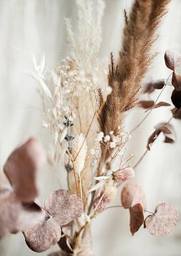 Dried flowers by Melanie Schat