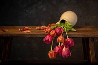 Oops, those tulips are broken.... by Peter Abbes thumbnail
