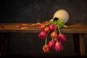 Oeps, die tulpen zijn stuk... van Peter Abbes