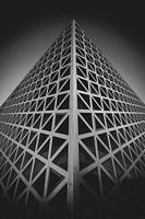Building X