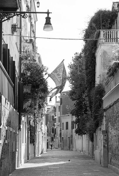 Venice by heidi borgart