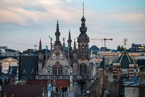 Stadszicht over Brussels oude stad