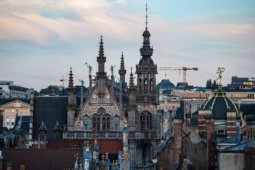 Blick über die Brüsseler Altstadt von Werner Lerooy